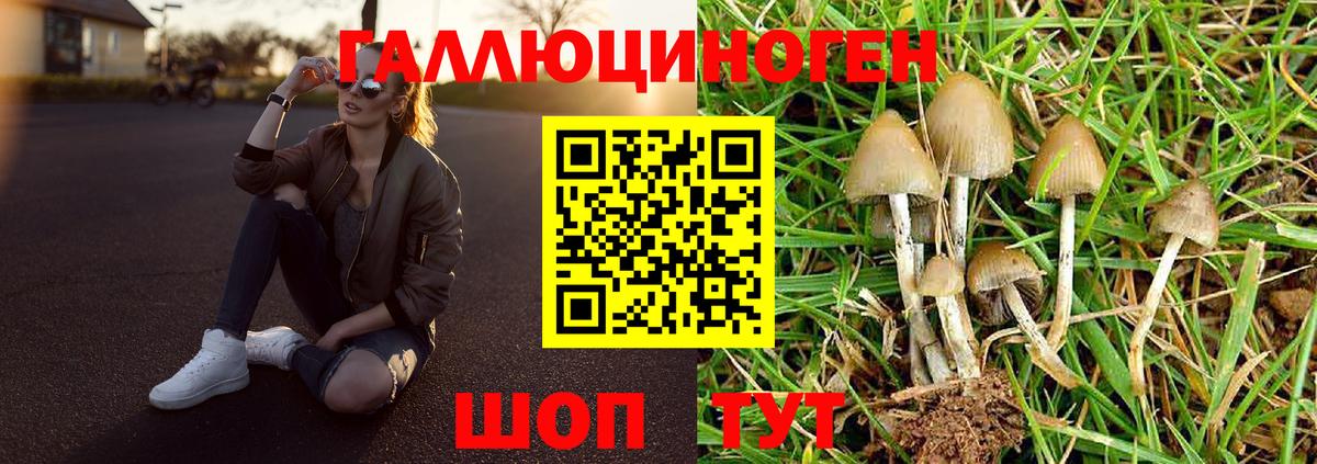 Бердск  Псилоцибиновые грибы мухоморы  где можно купить   Вход с VPN 